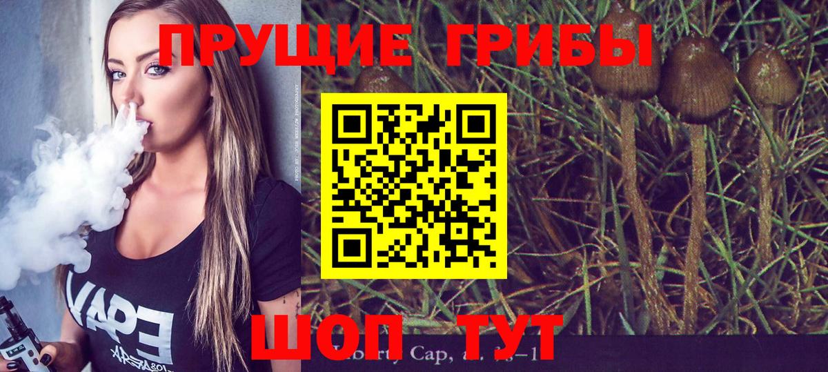 Псилоцибиновые грибы мицелий  Псилоцибиновые грибы мицелий  Мыски  Вход с VPN 